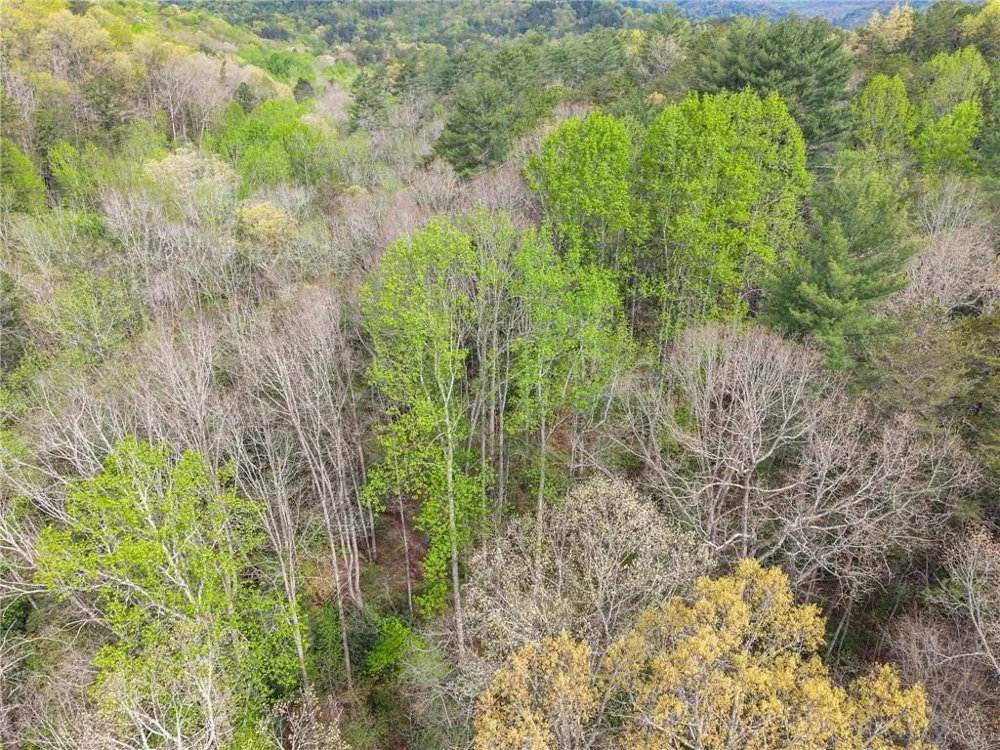0 S Fern Cove Road Sautee Nacoochee, GA 30571