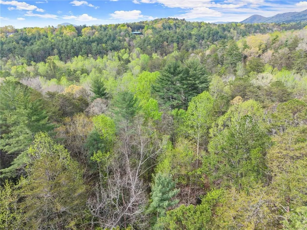 0 S Fern Cove Road Sautee Nacoochee, GA 30571