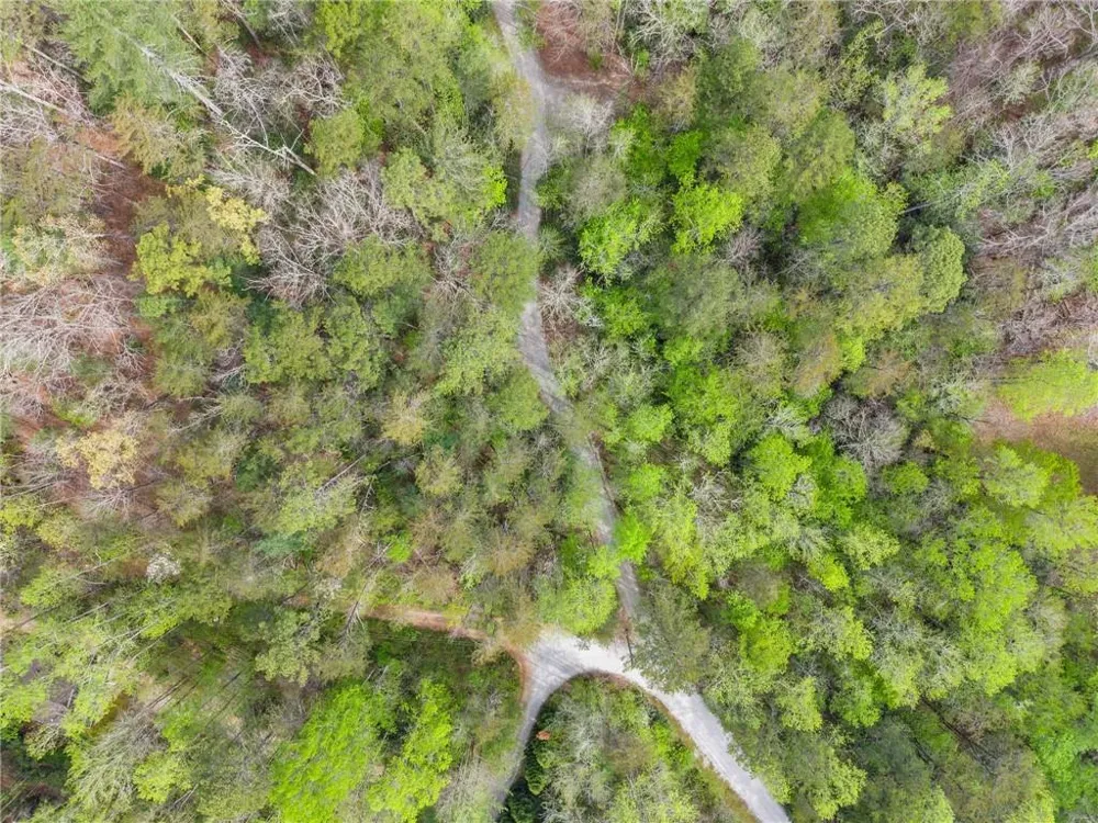 0 S Fern Cove Road Sautee Nacoochee, GA 30571