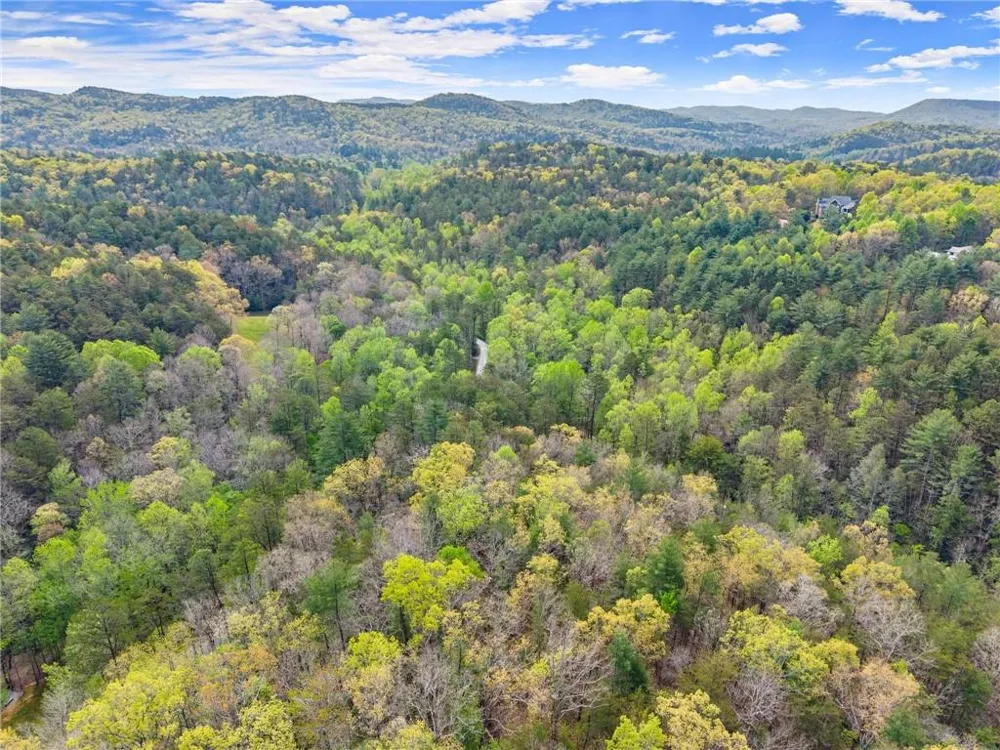 0 S Fern Cove Road Sautee Nacoochee, GA 30571