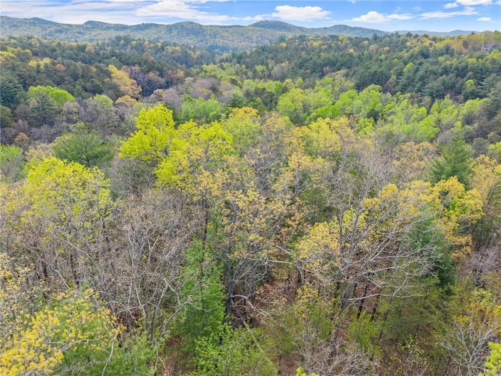 0 S Fern Cove Road Sautee Nacoochee, GA 30571