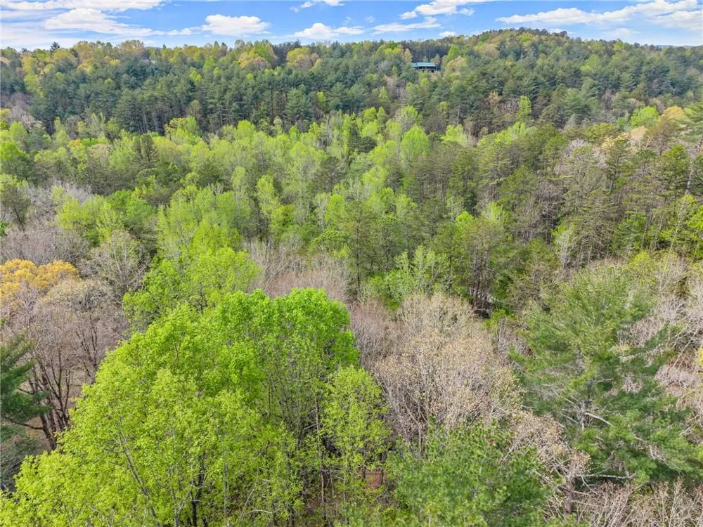 0 S Fern Cove Road Sautee Nacoochee, GA 30571