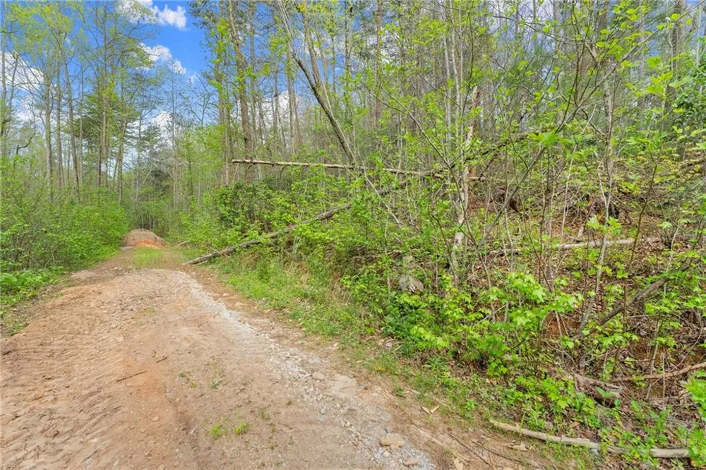 0 S Fern Cove Road Sautee Nacoochee, GA 30571