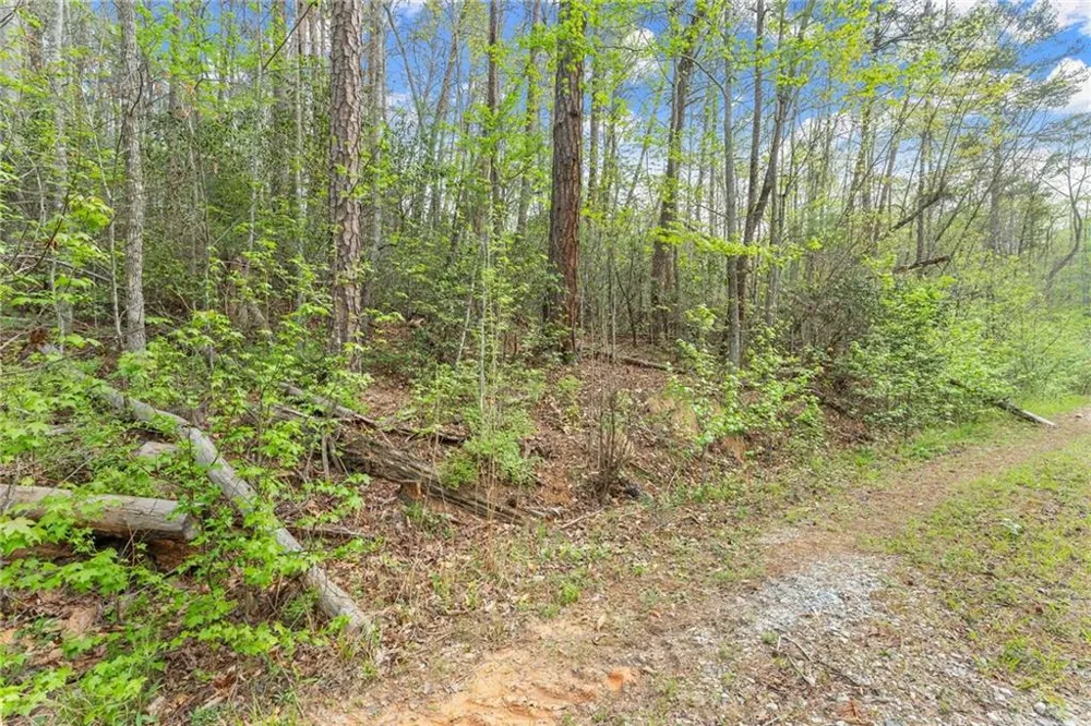 0 S Fern Cove Road Sautee Nacoochee, GA 30571