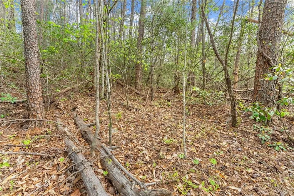 0 S Fern Cove Road Sautee Nacoochee, GA 30571
