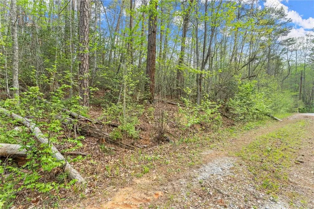 0 S Fern Cove Road Sautee Nacoochee, GA 30571
