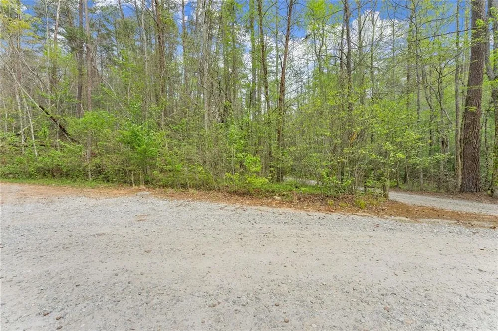 0 S Fern Cove Road Sautee Nacoochee, GA 30571