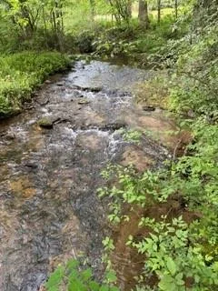 0 S Fern Cove Road Sautee Nacoochee, GA 30571