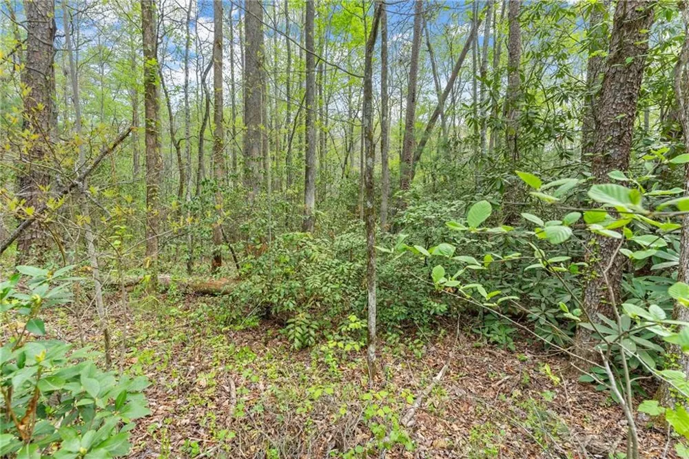 0 S Fern Cove Road Sautee Nacoochee, GA 30571