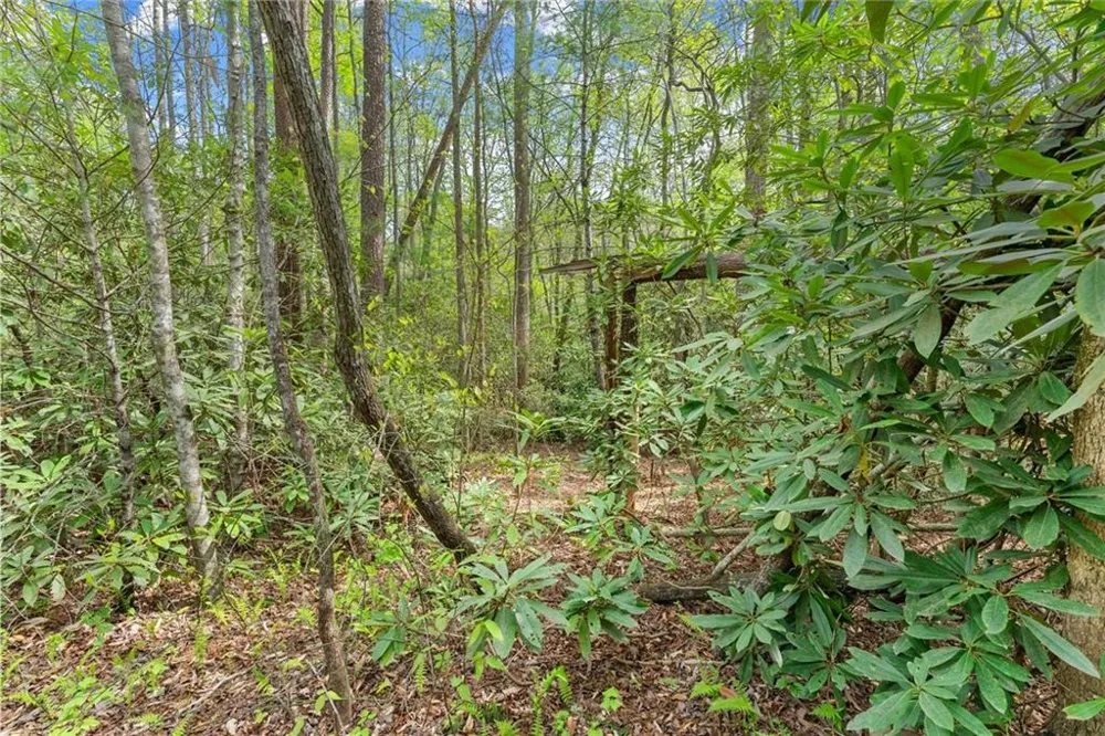 0 S Fern Cove Road Sautee Nacoochee, GA 30571