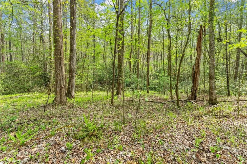 0 S Fern Cove Road Sautee Nacoochee, GA 30571