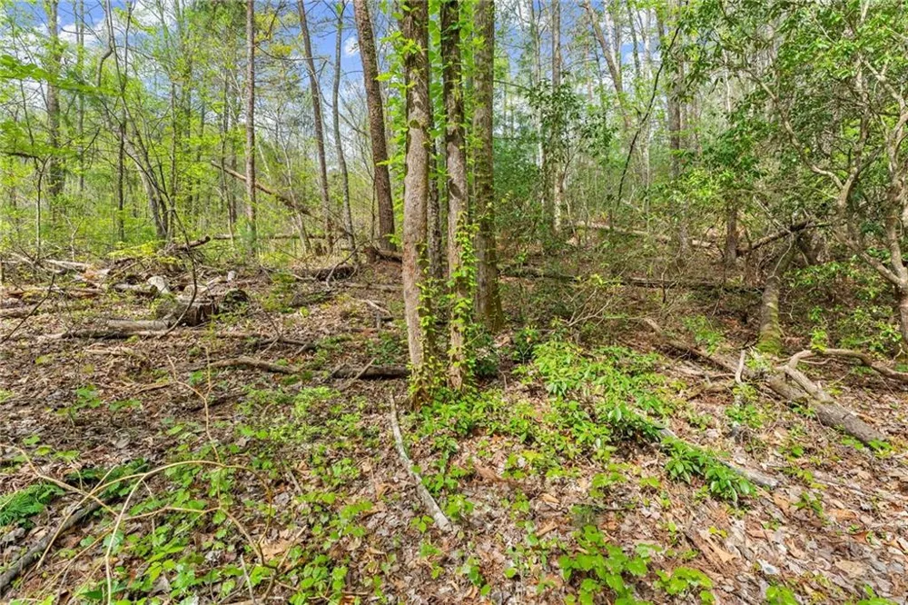 0 S Fern Cove Road Sautee Nacoochee, GA 30571