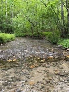 0 S Fern Cove Road Sautee Nacoochee, GA 30571