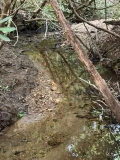 0 S Fern Cove Road Sautee Nacoochee, GA 30571