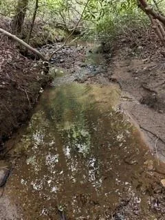 0 S Fern Cove Road Sautee Nacoochee, GA 30571
