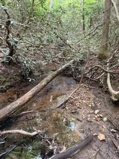 0 S Fern Cove Road Sautee Nacoochee, GA 30571