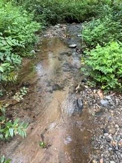 0 S Fern Cove Road Sautee Nacoochee, GA 30571