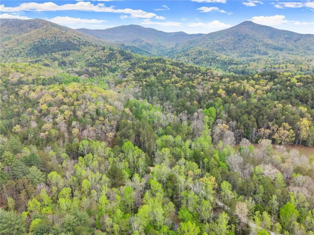 0 S Fern Cove Road Sautee Nacoochee, GA 30571