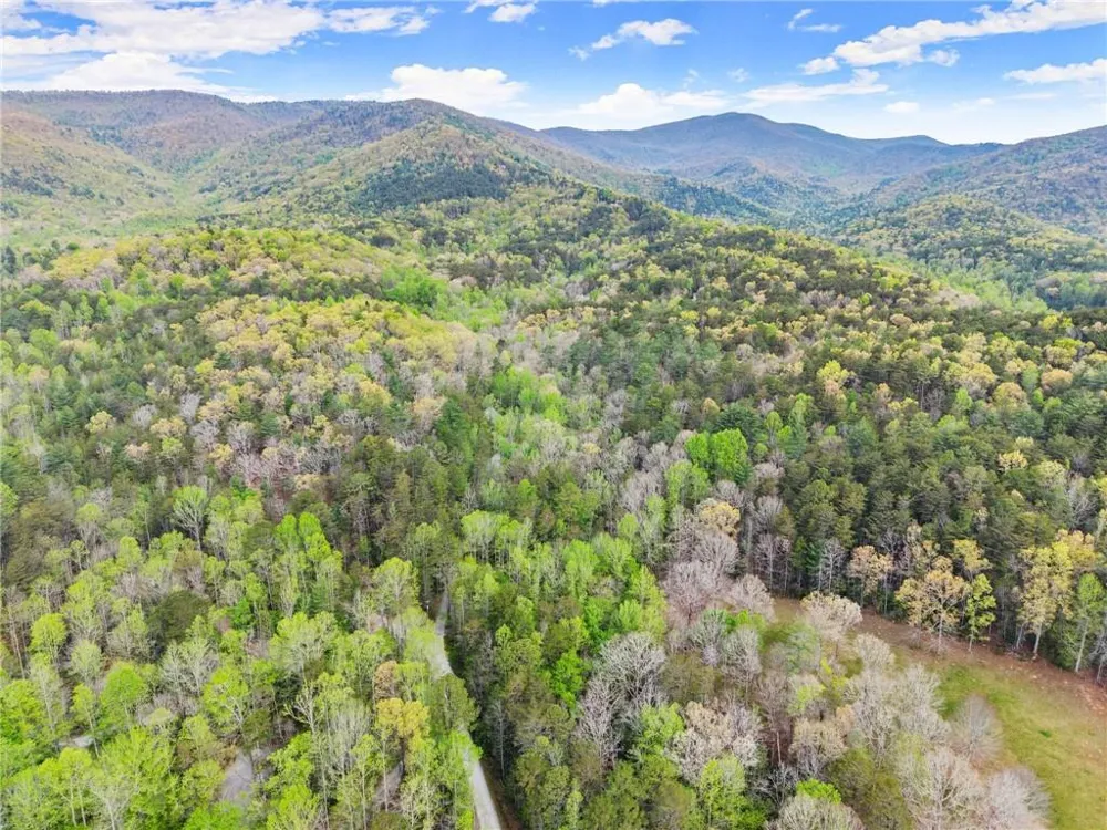 0 S Fern Cove Road Sautee Nacoochee, GA 30571