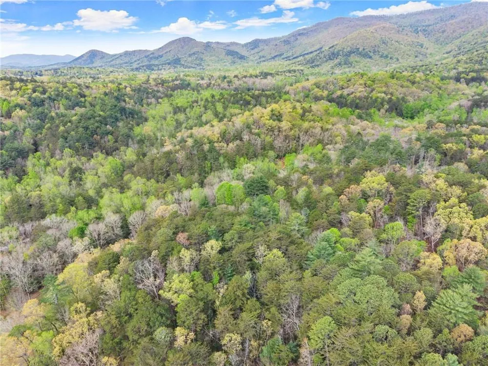 0 S Fern Cove Road Sautee Nacoochee, GA 30571