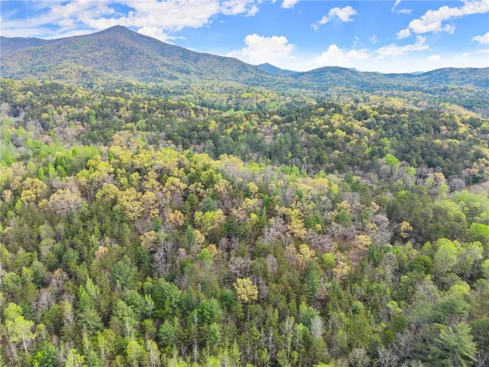 0 S Fern Cove Road Sautee Nacoochee, GA 30571