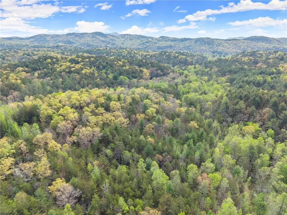 0 S Fern Cove Road Sautee Nacoochee, GA 30571
