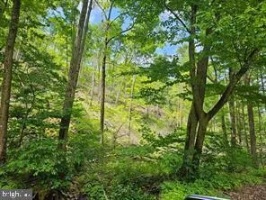 TIGER VALLEY ROAD Hyndman, PA 15545