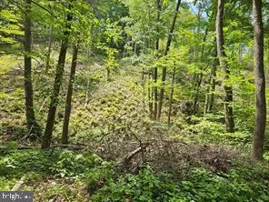 TIGER VALLEY ROAD Hyndman, PA 15545