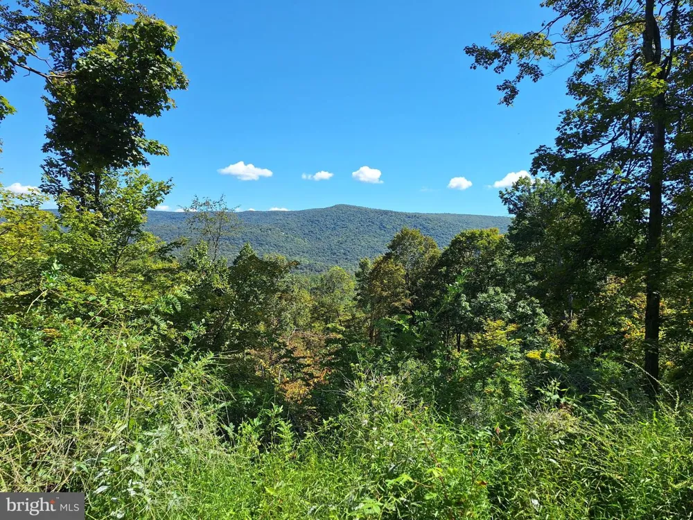 TIGER VALLEY ROAD Hyndman, PA 15545