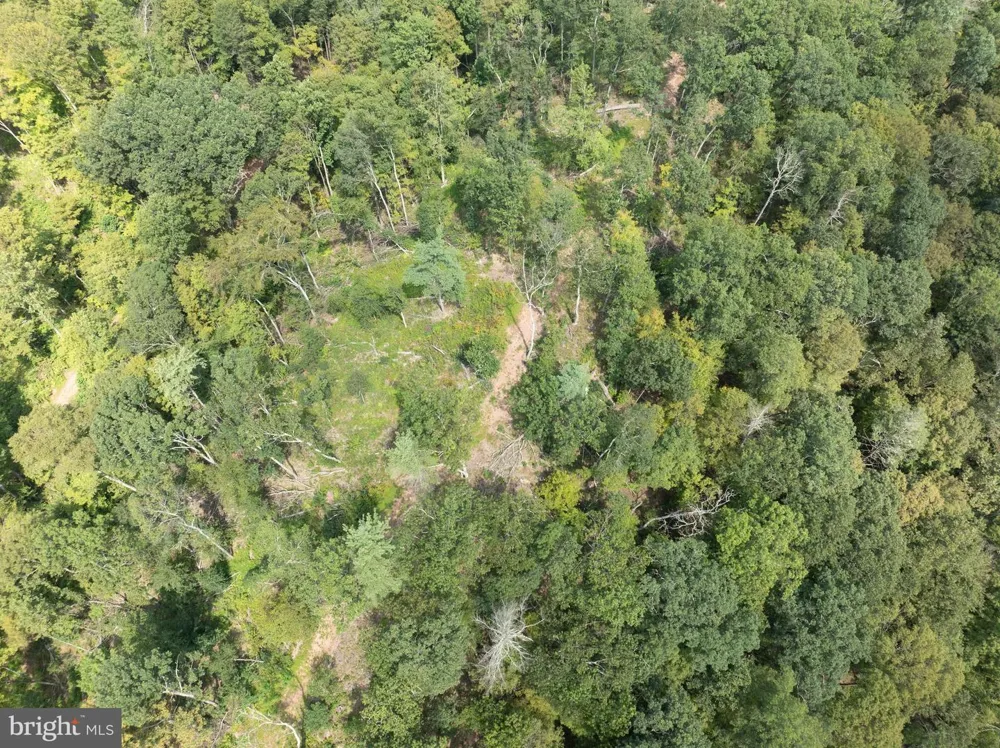 TIGER VALLEY ROAD Hyndman, PA 15545