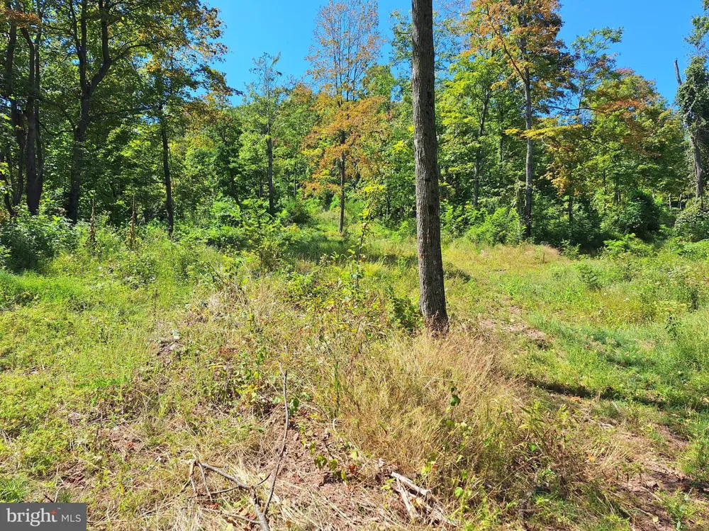 TIGER VALLEY ROAD Hyndman, PA 15545