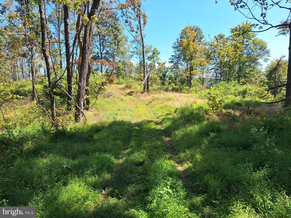 TIGER VALLEY ROAD Hyndman, PA 15545