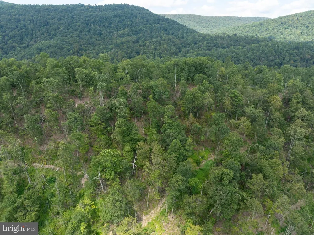 TIGER VALLEY ROAD Hyndman, PA 15545