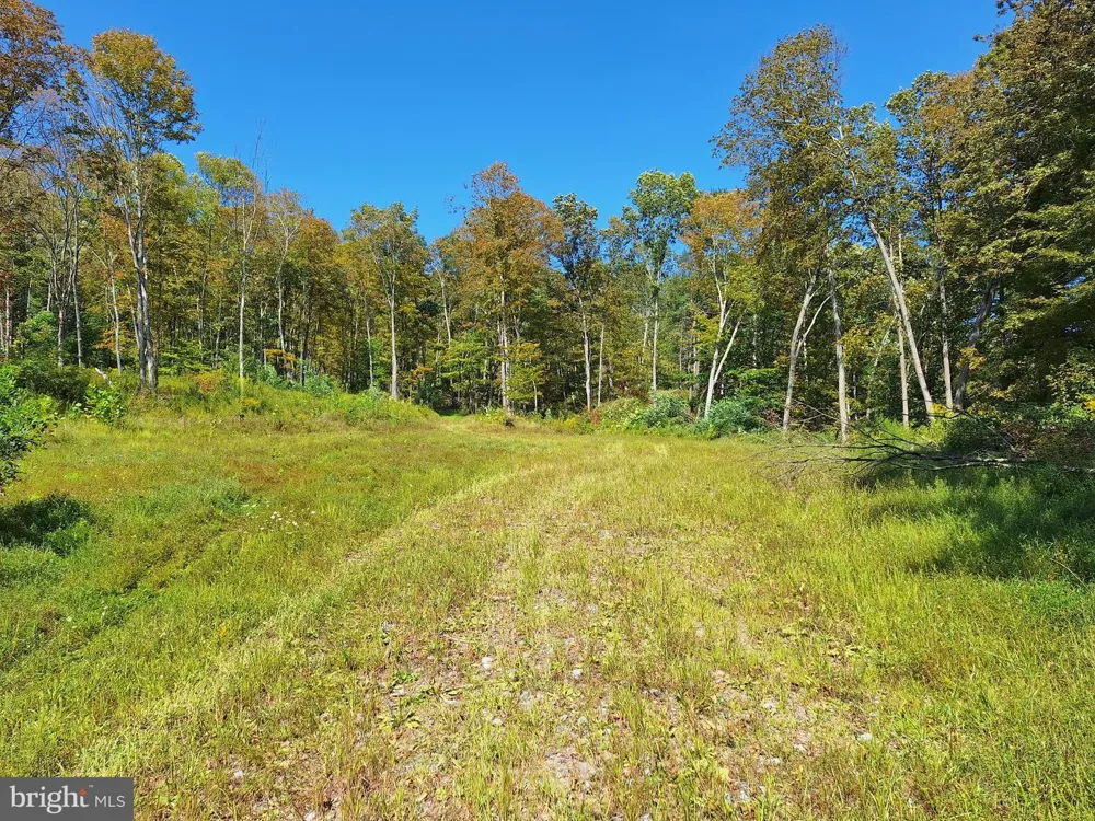 TIGER VALLEY ROAD Hyndman, PA 15545