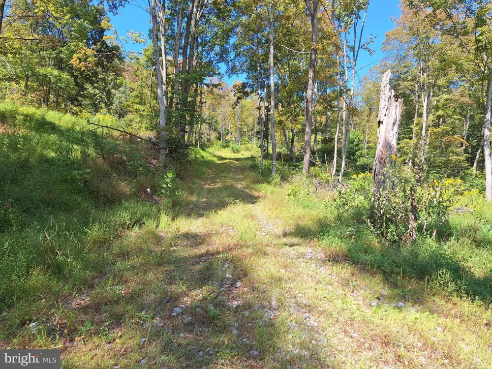 TIGER VALLEY ROAD Hyndman, PA 15545