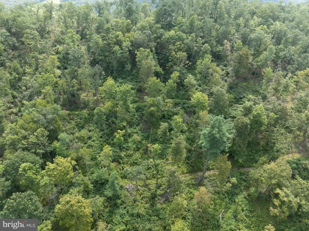 TIGER VALLEY ROAD Hyndman, PA 15545