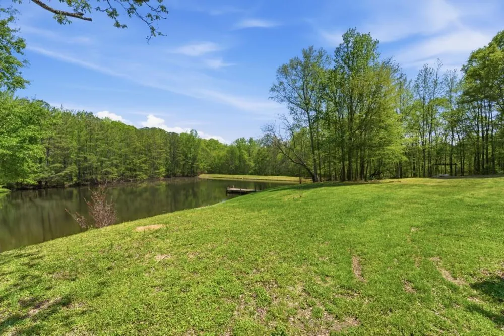 224 Old Franklin Street Roopville, GA 30170