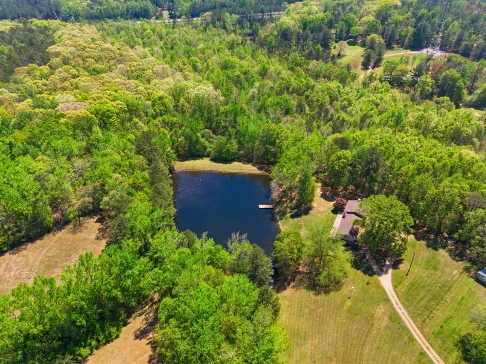 224 Old Franklin Street Roopville, GA 30170