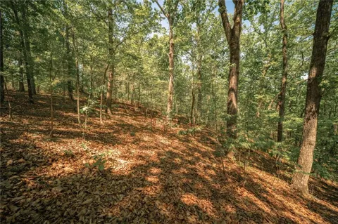 00 Hancock Mountain Trail