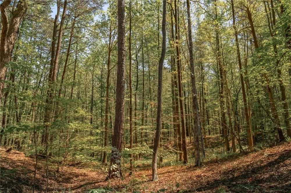 00 Hancock Mountain Trail Waleska, GA 30183