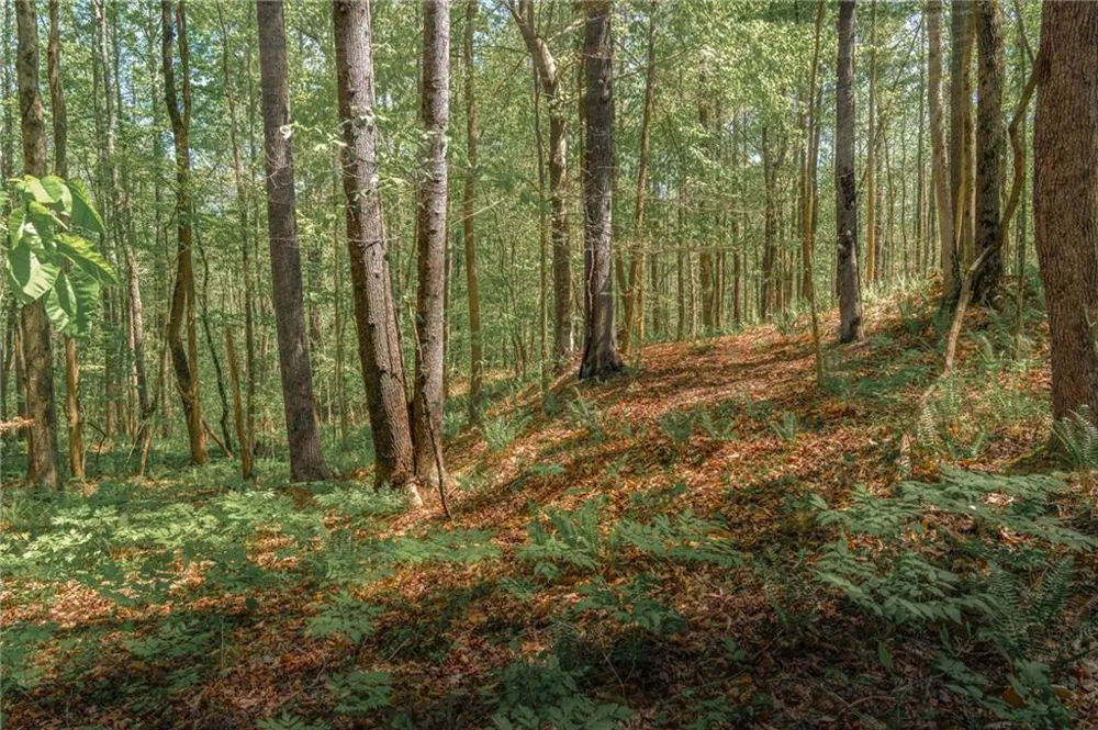 00 Hancock Mountain Trail Waleska, GA 30183