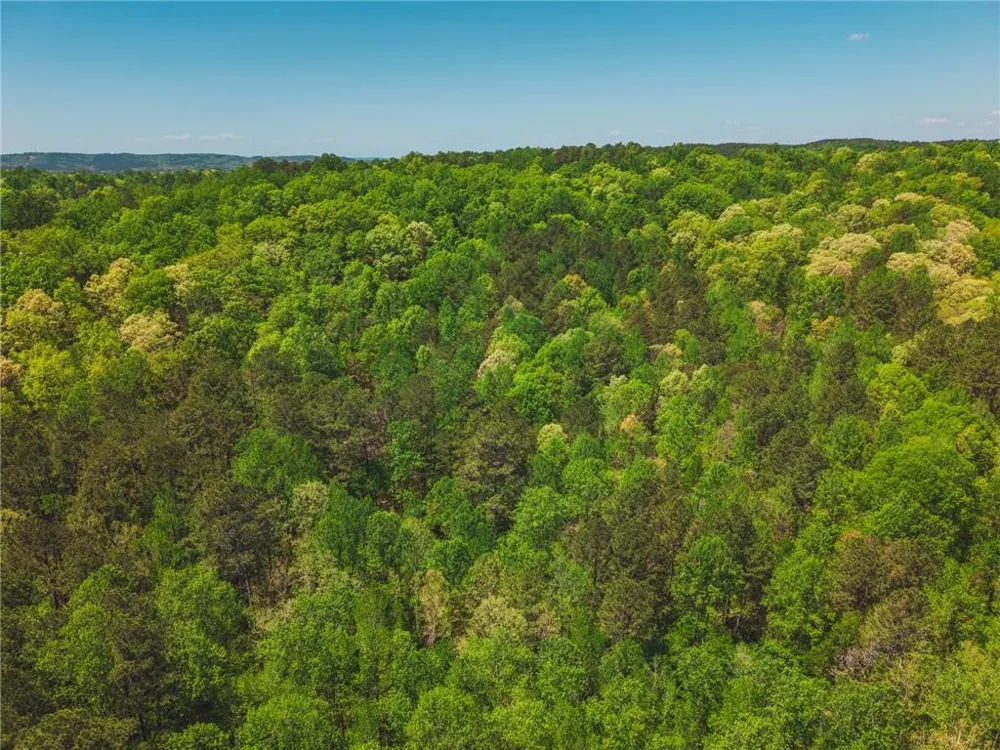 00 Hancock Mountain Trail Waleska, GA 30183