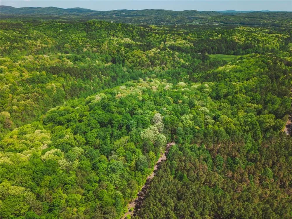 00 Hancock Mountain Trail Waleska, GA 30183