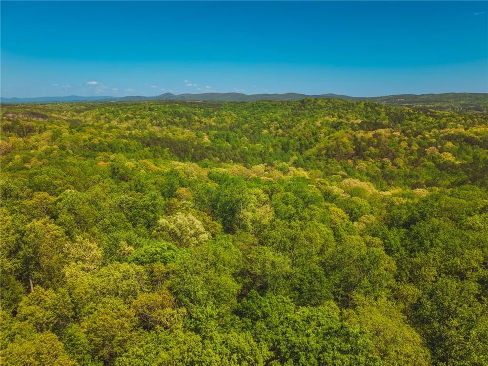 00 Hancock Mountain Trail Waleska, GA 30183