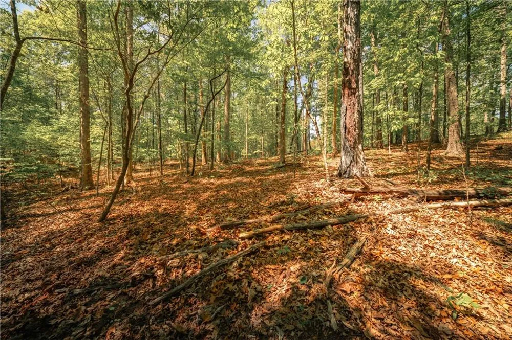00 Hancock Mountain Trail Waleska, GA 30183