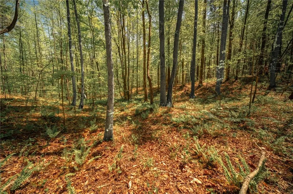 00 Hancock Mountain Trail Waleska, GA 30183