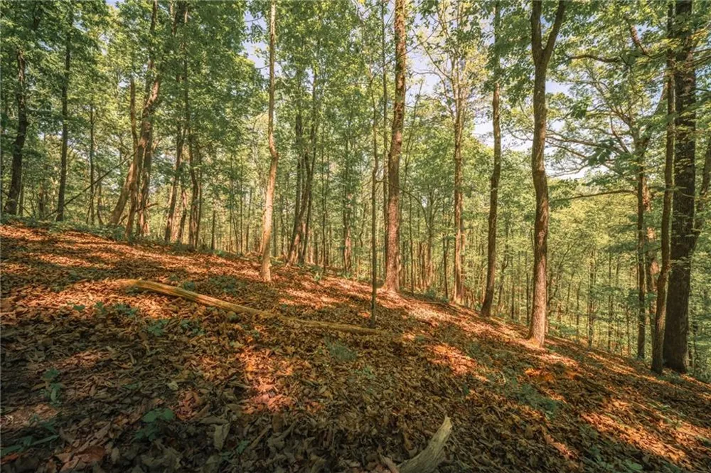 00 Hancock Mountain Trail Waleska, GA 30183