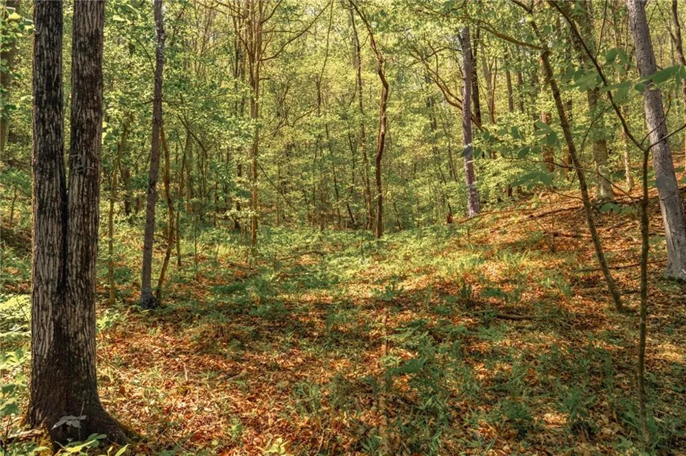 00 Hancock Mountain Trail Waleska, GA 30183