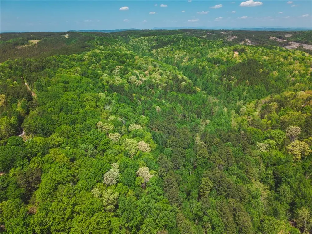 00 Hancock Mountain Trail Waleska, GA 30183