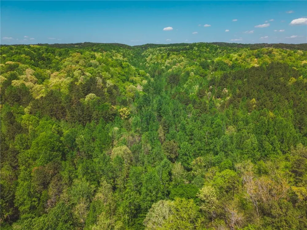 00 Hancock Mountain Trail Waleska, GA 30183
